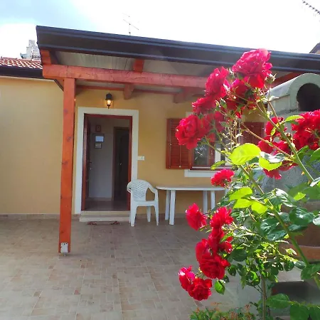 Apartman In Zambratija/istrien 35413
